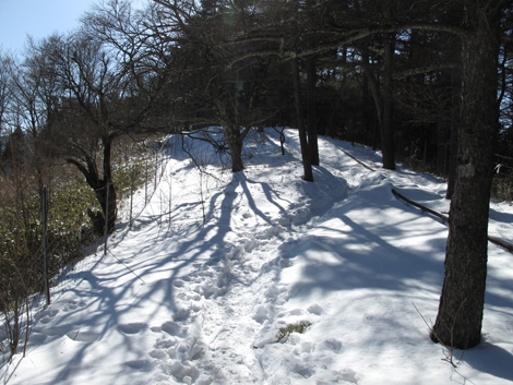 20180209hike (106)